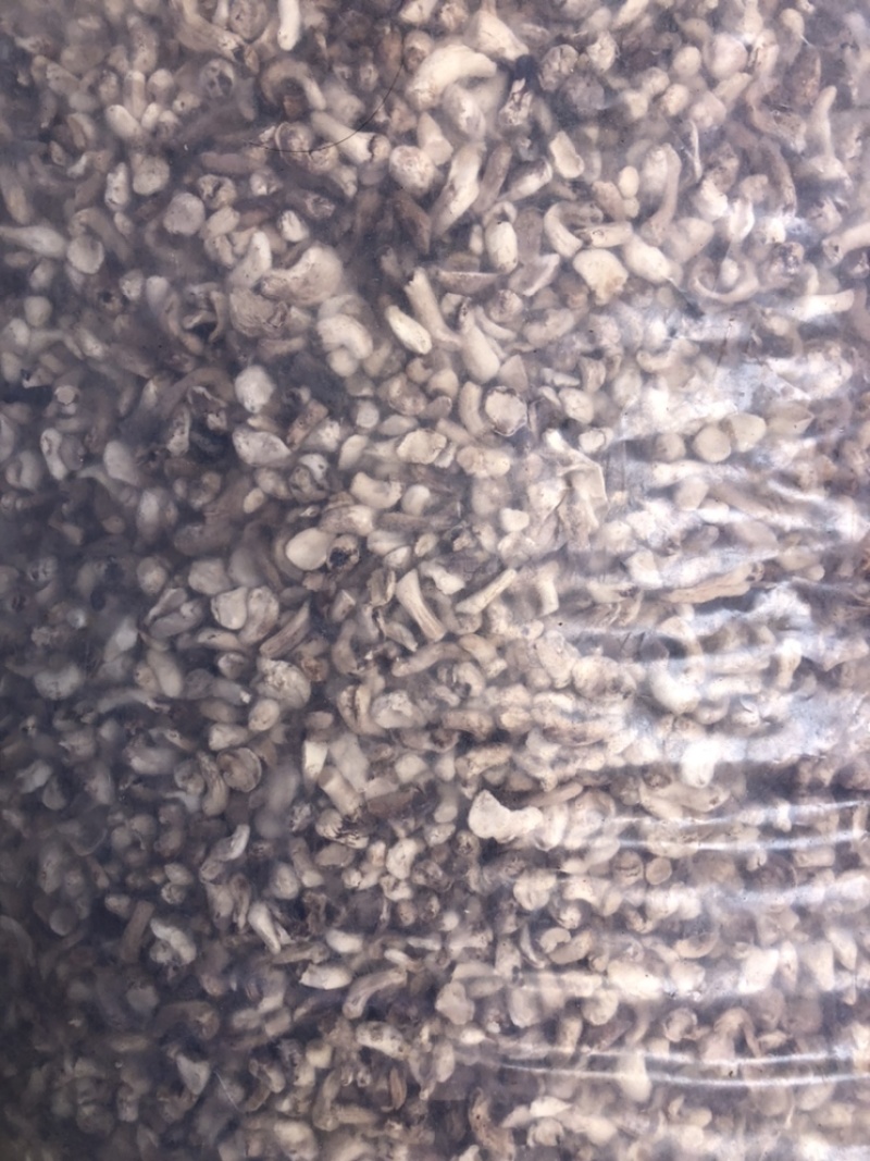 磨面香菇脚无杂干香菇腿食用菌香菇根原产地一手批发大量现货