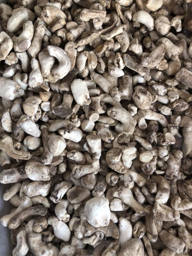磨面香菇脚无杂干香菇腿食用菌香菇根原产地一手批发大量现货