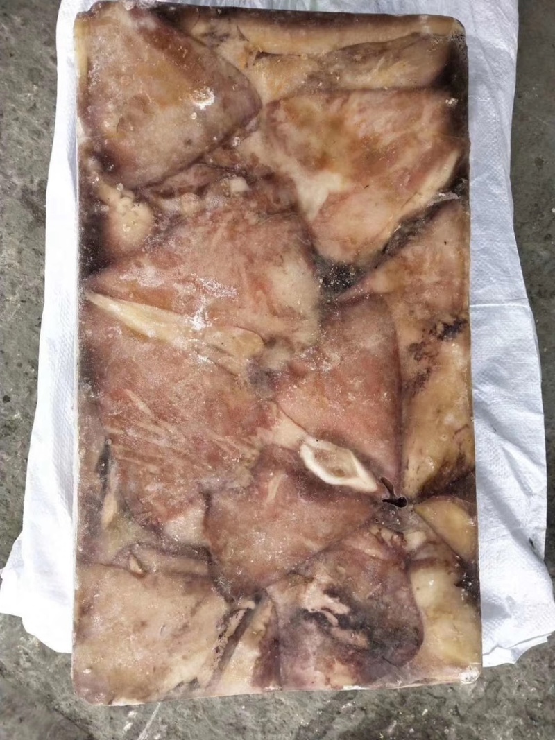白菜价格鱿鱼耳500/1000规格学校食堂快餐专用