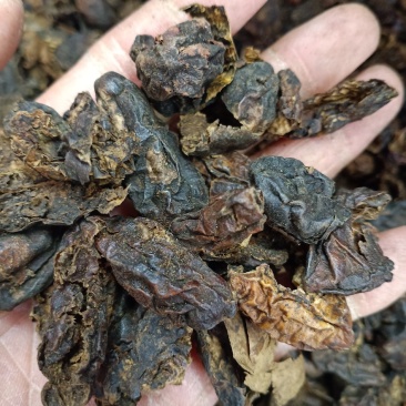 诃子肉，黑诃子肉粒大肉厚，质量保证！