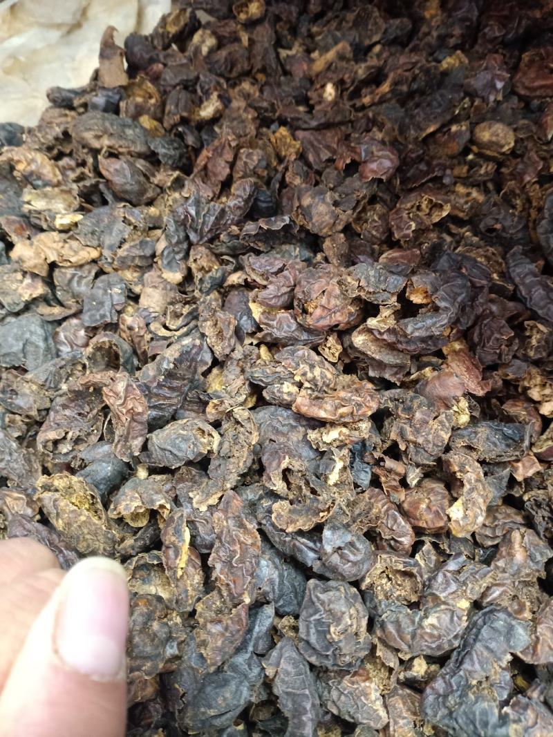 诃子肉，黑诃子肉粒大肉厚，质量保证！