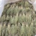 独脚金疳积草2021新货供药厂大货价钱商议五寸甘五寸疳
