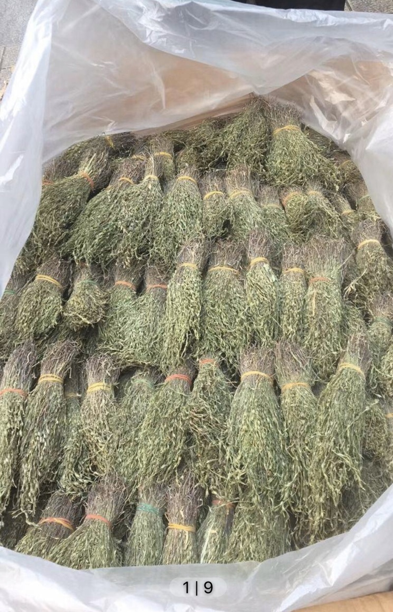 独脚金疳积草2021新货供药厂大货价钱商议五寸甘五寸疳