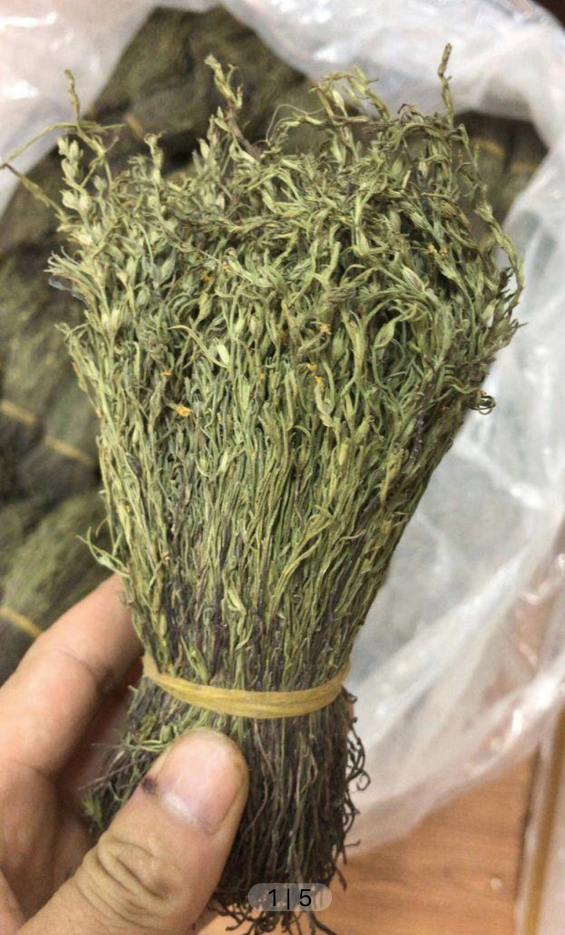 独脚金疳积草2021新货供药厂大货价钱商议五寸甘五寸疳