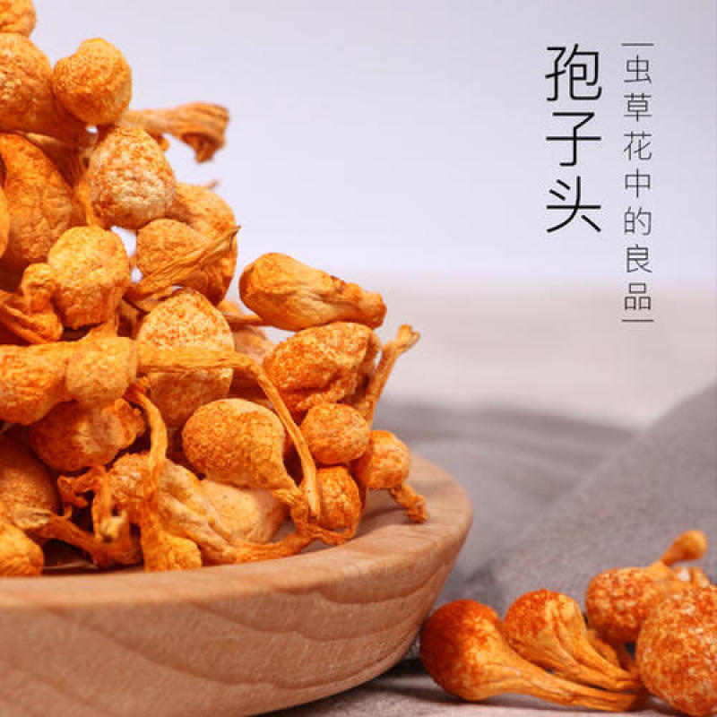 虫草花金虫草豹子头排草精选无硫中药材内蒙古沈阳原产地批发