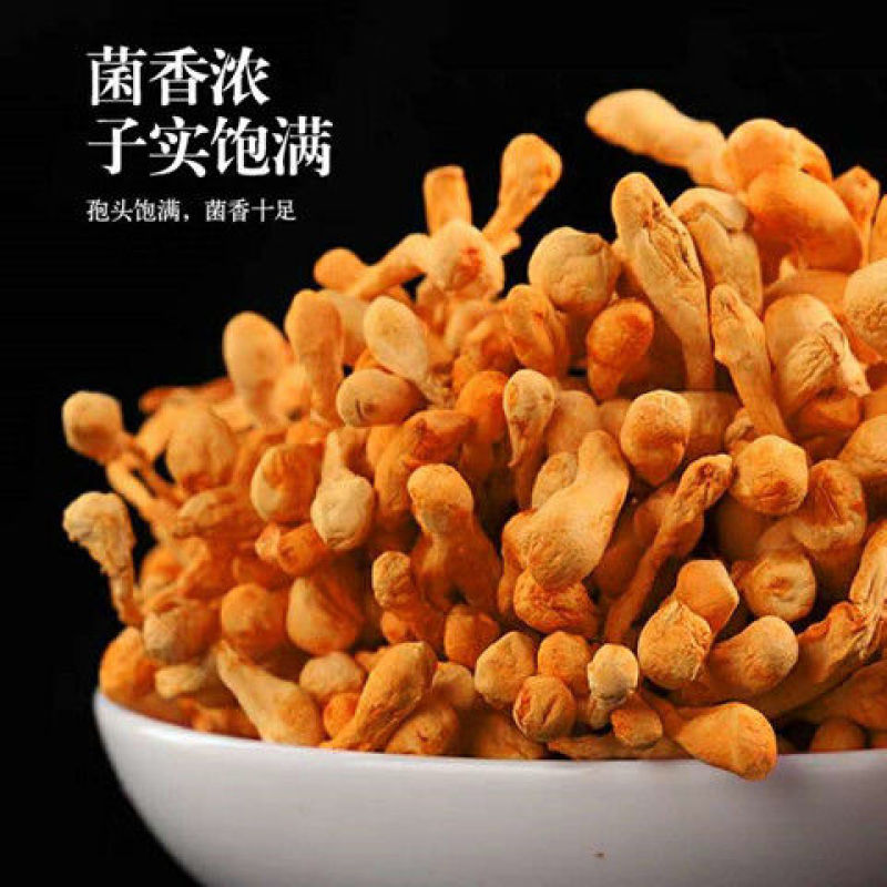 虫草花金虫草豹子头排草精选无硫中药材内蒙古沈阳原产地批发