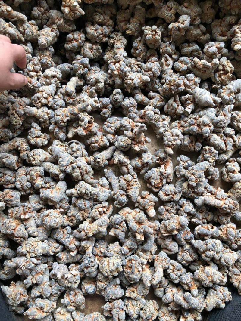 文山三七，正宗文山三七，假一罚万，基地三七。