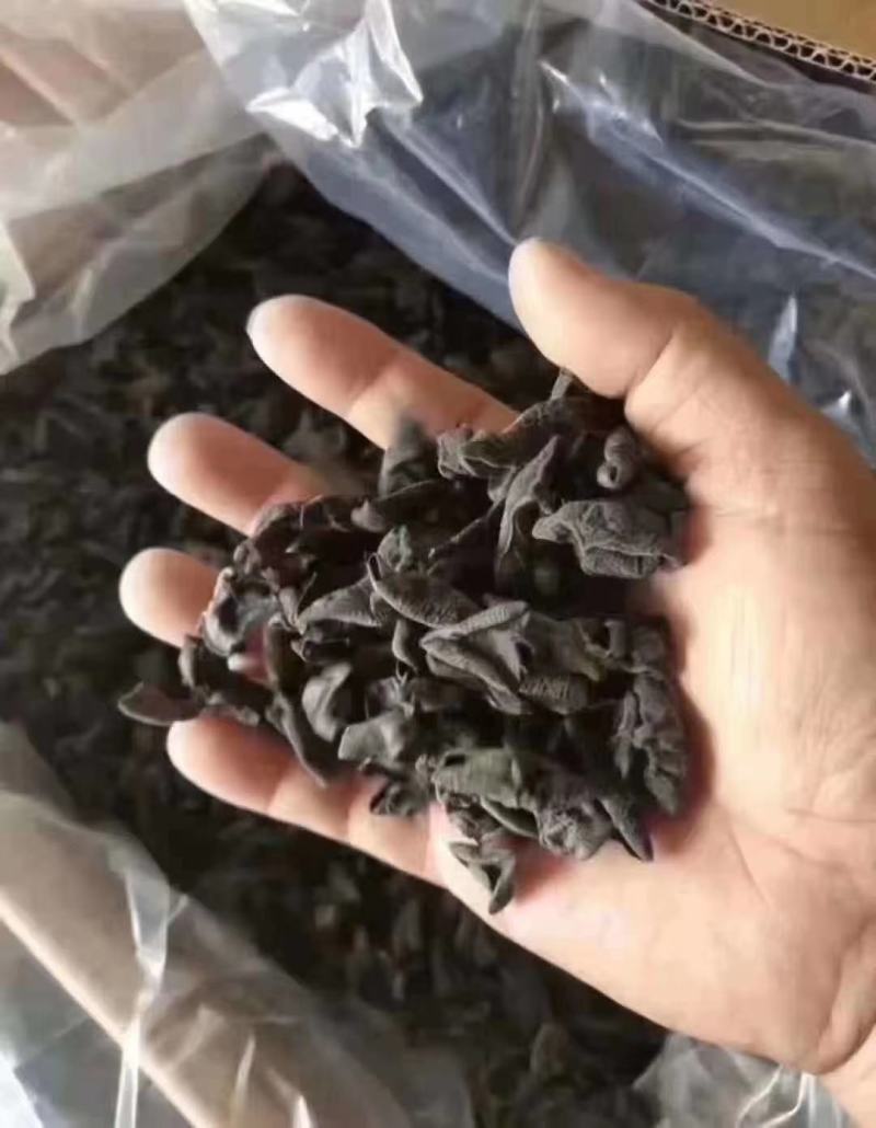 精品小木耳。无碎渣。。。。。。。。。。。。。