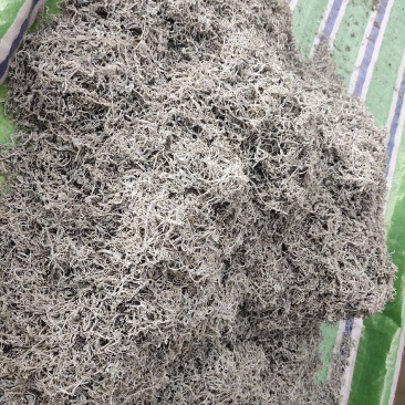 湖南郴州高山野生藤茶，莓茶，口味纯正，全国发货，诚招代理