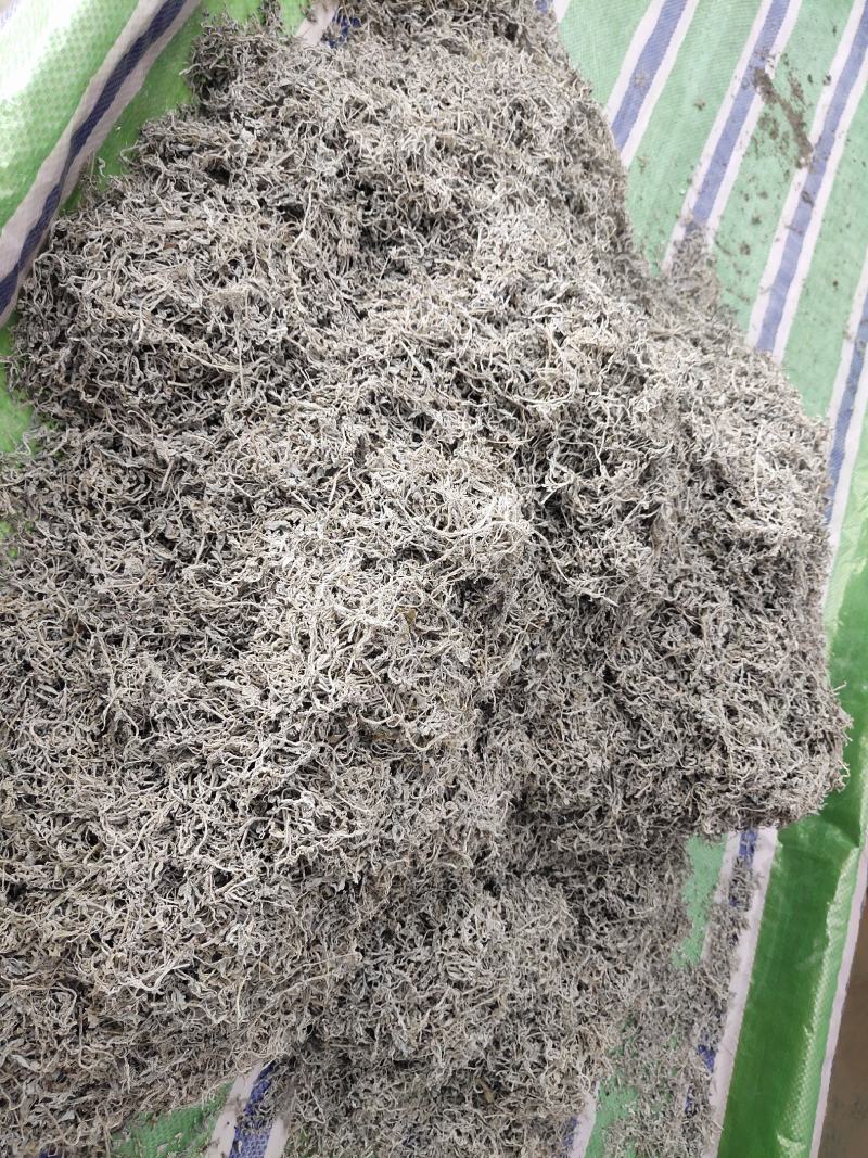 湖南郴州高山野生藤茶，莓茶，口味纯正，全国发货，诚招代理