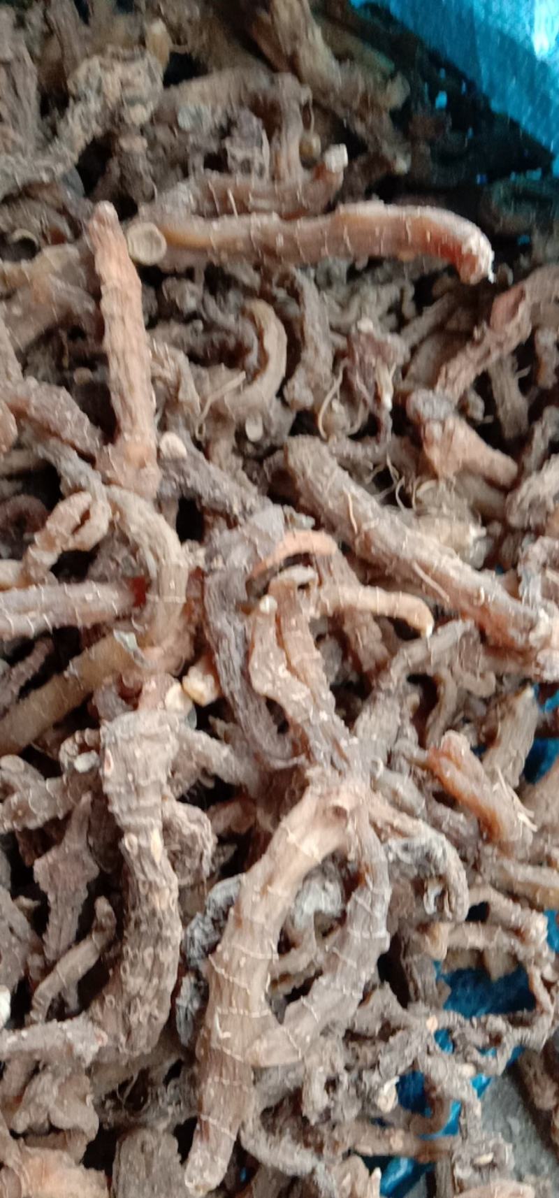 大别山中药材野生干黄精一蒸一晒干黄精