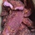 风干牛肉地摊展会货源量大从优