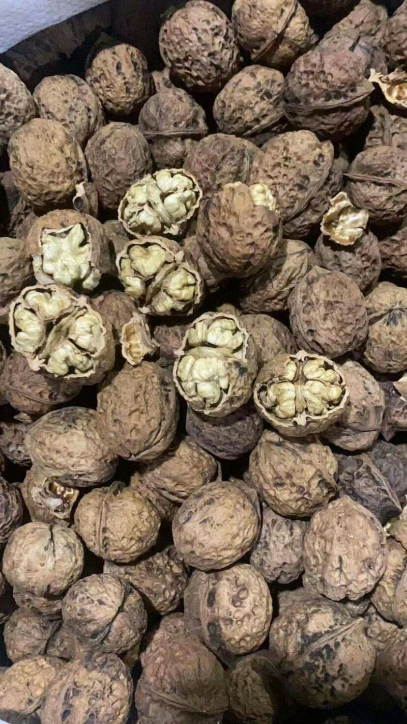 云南核桃云南麻子核桃