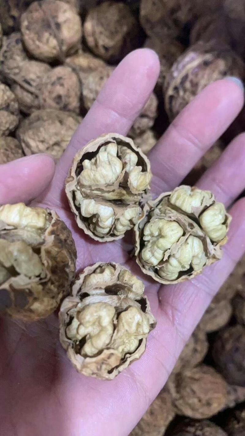 云南核桃云南麻子核桃