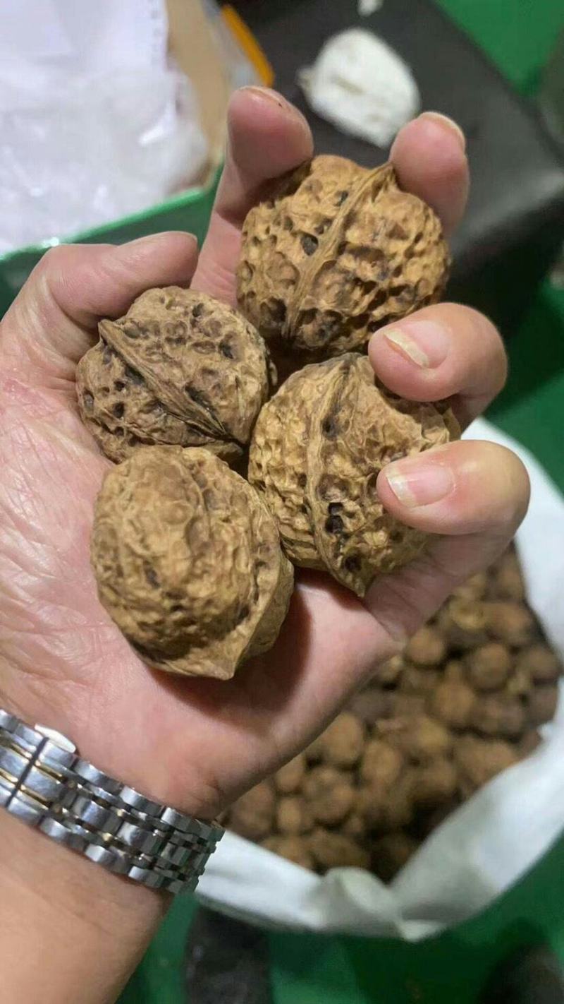 云南核桃云南麻子核桃