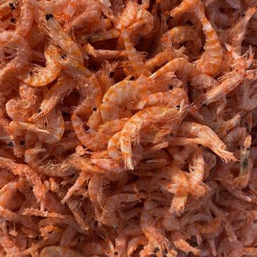 【优质】磷虾麟虾皮一首货源原产地批发