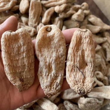 天麻大货各种规格，欢迎您的选购量大从优。