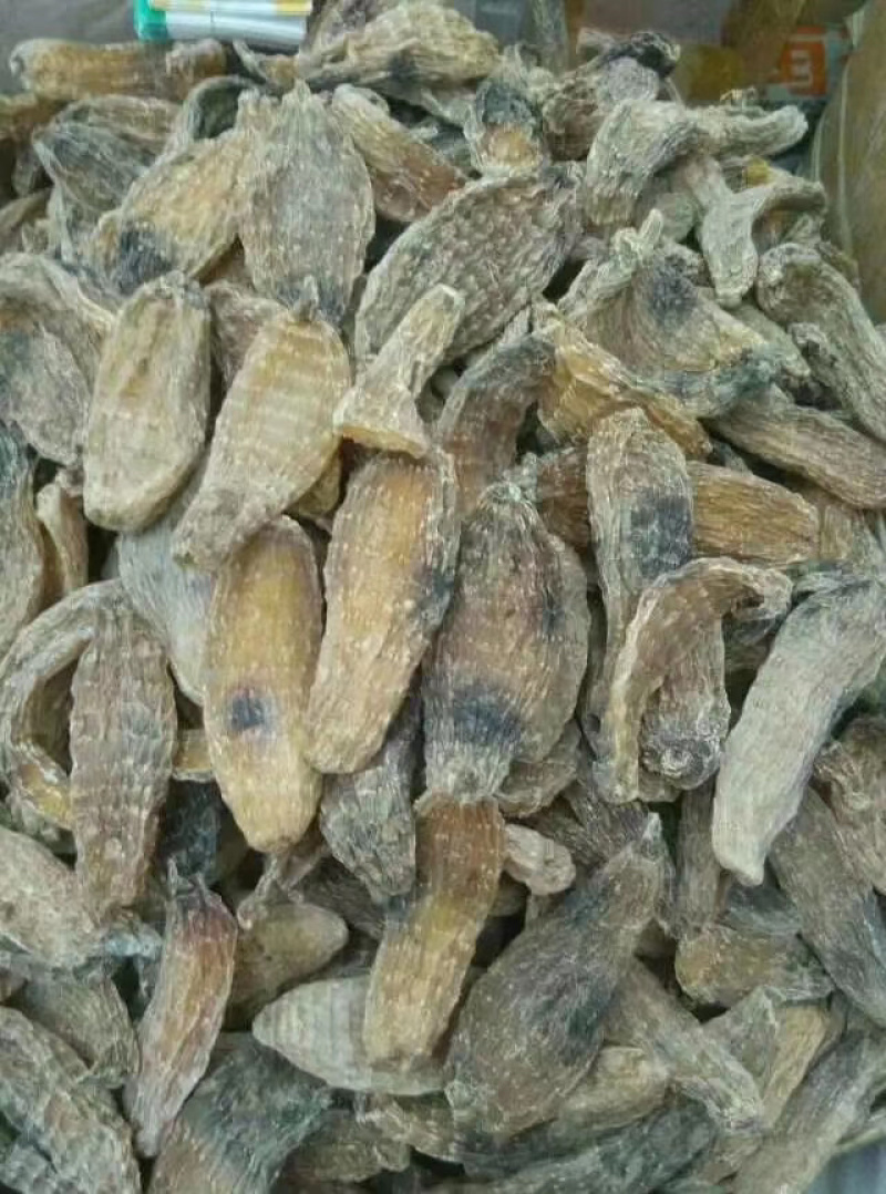 天麻大货各种规格，欢迎您的选购量大从优。