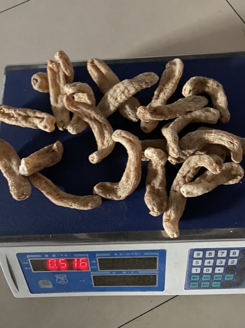 天麻大货各种规格，欢迎您的选购量大从优。