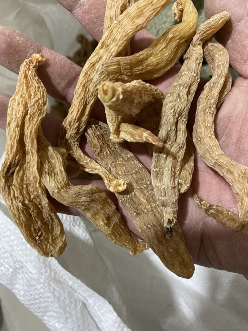 天麻大货各种规格，欢迎您的选购量大从优。