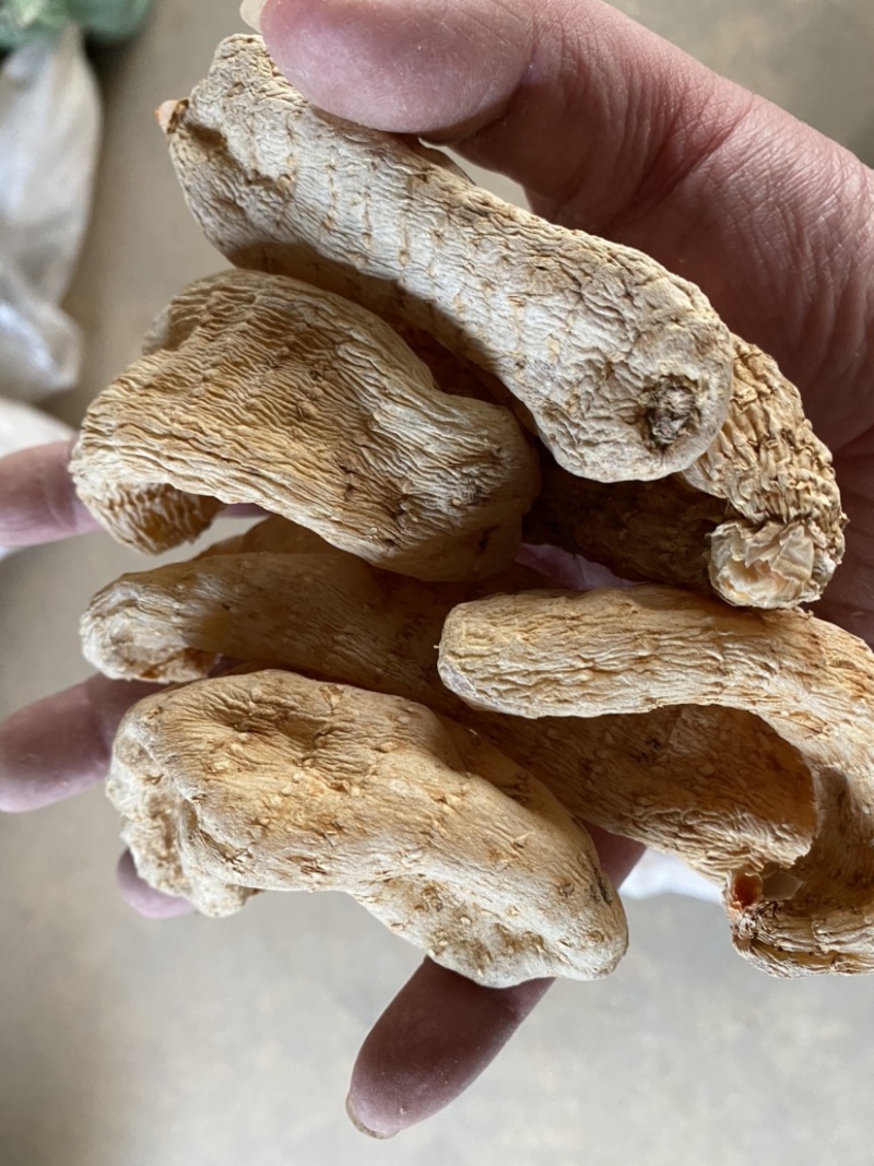 天麻大货各种规格，欢迎您的选购量大从优。