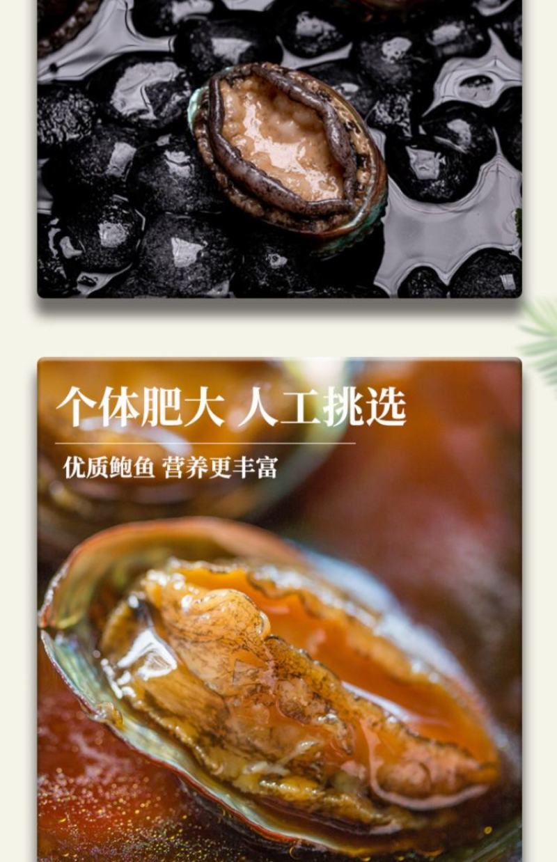 特价，活冻30-40头左右小鲍鱼，真空包装一斤装10斤批
