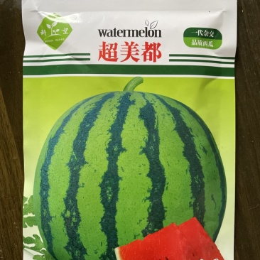 美都西瓜种美都西瓜