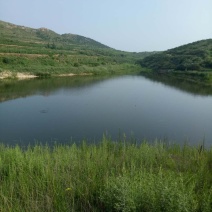 土地，水库，可养殖种植