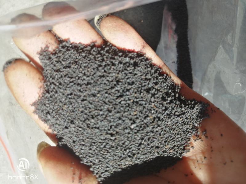 虫茶养身茶2015年虫屎茶，量大从优，，，，，，，，，