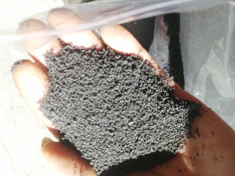虫茶养身茶2015年虫屎茶，量大从优，，，，，，，，，