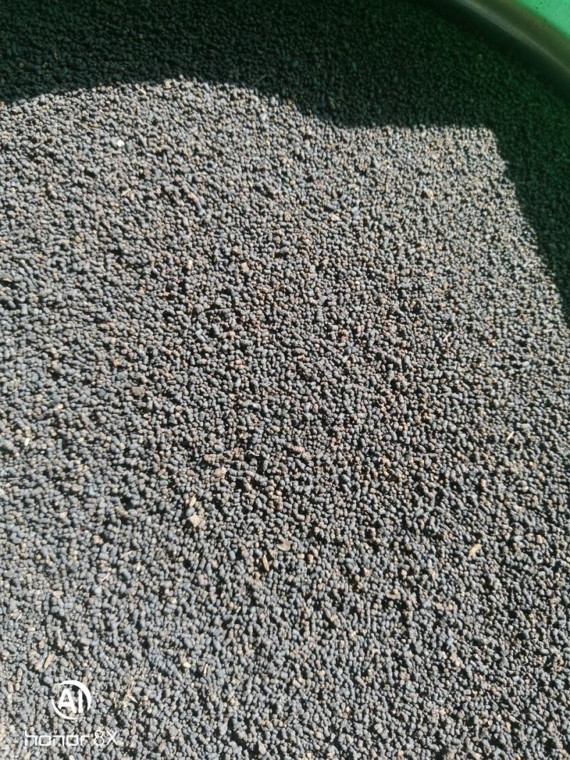 虫茶养身茶2015年虫屎茶，量大从优，，，，，，，，，
