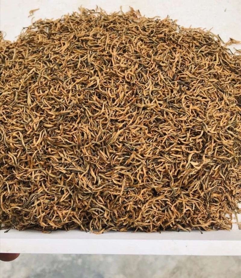 贵州黎平高山红茶800多米海拔茶叶，味道好