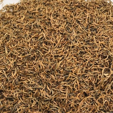 贵州黎平高山红茶800多米海拔茶叶，味道好