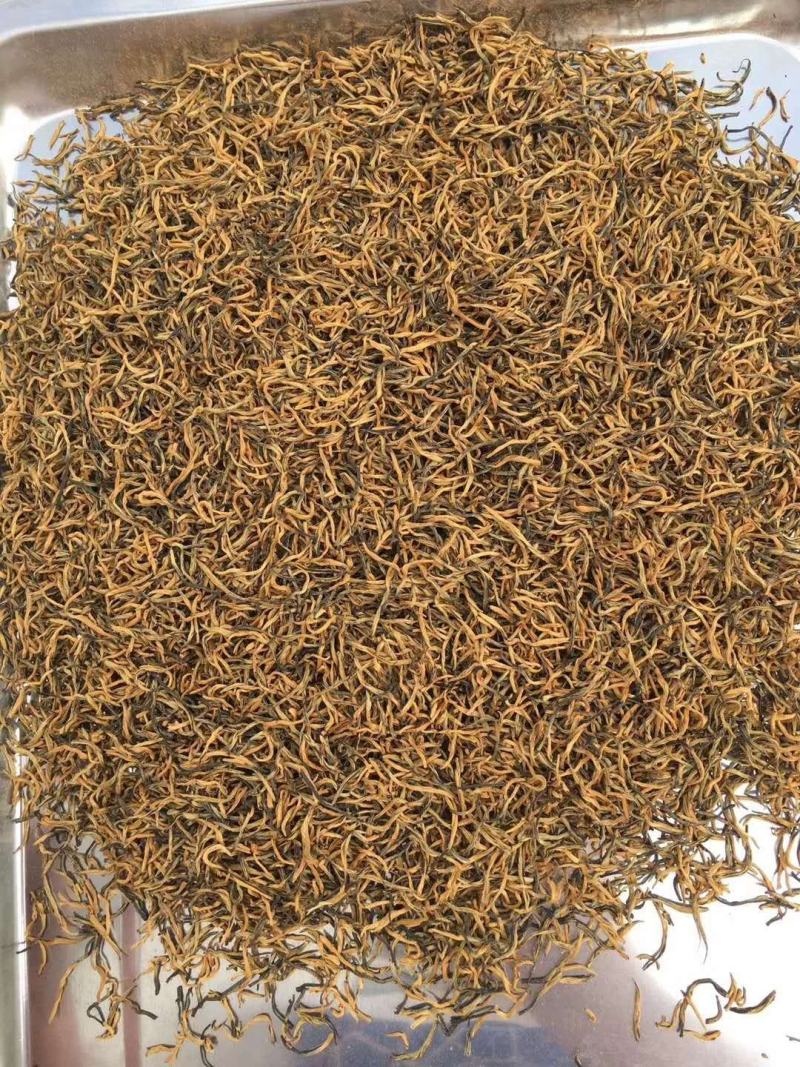 贵州黎平高山红茶800多米海拔茶叶，味道好