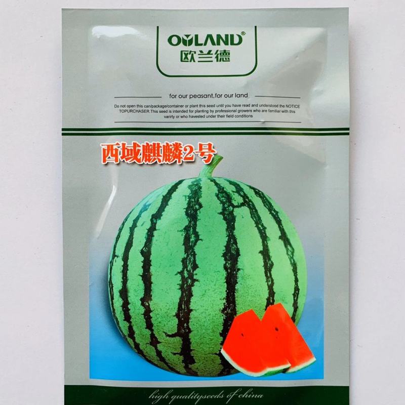 美都西瓜种子甜美都麒麟瓜种子西瓜品种一代杂交种子