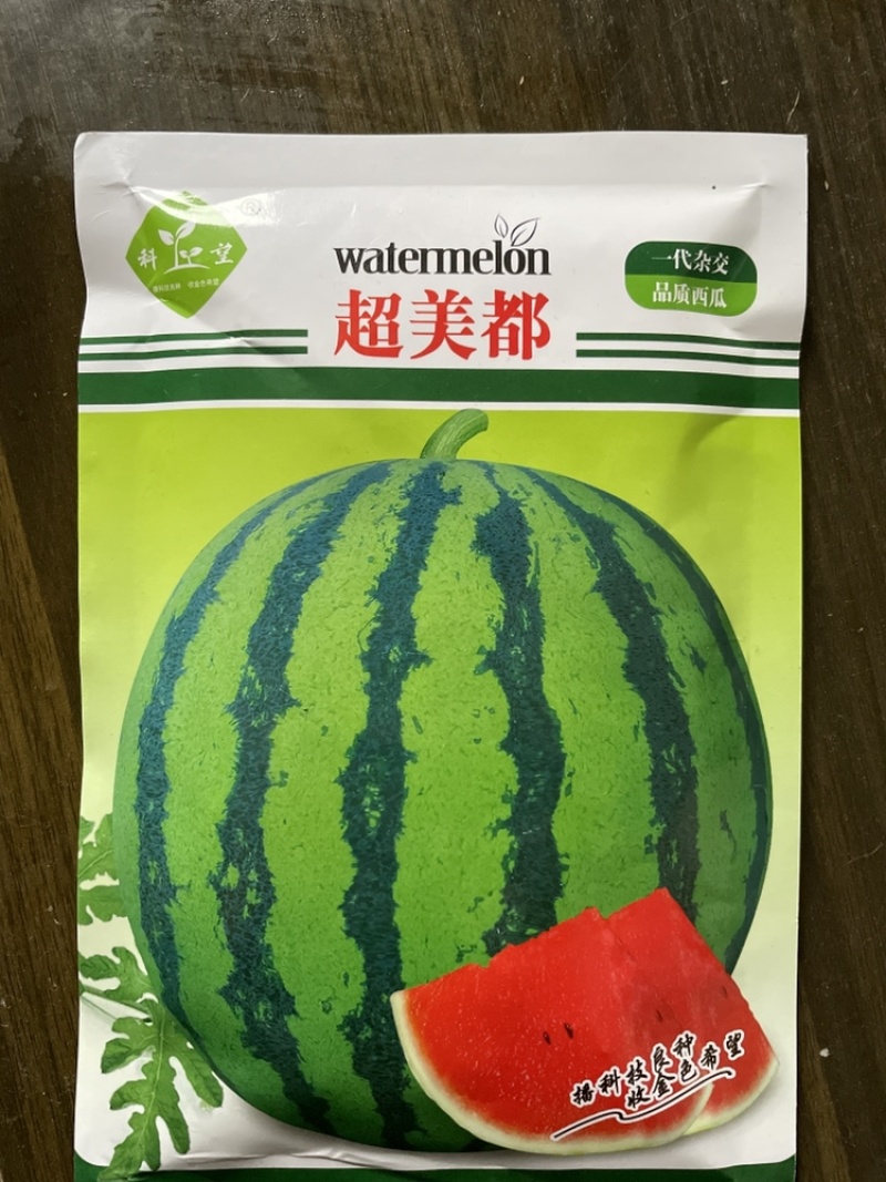 美都西瓜苗嫁接西瓜苗西瓜苗
