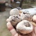柿饼，芮城柿饼，野生柿饼