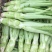 四川绵阳棒菜。圆叶棒菜。花叶棒菜。肉长无斑