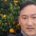 冰糖橙，麻阳专业代办诚信第一，欢迎批发商前来订购预定
