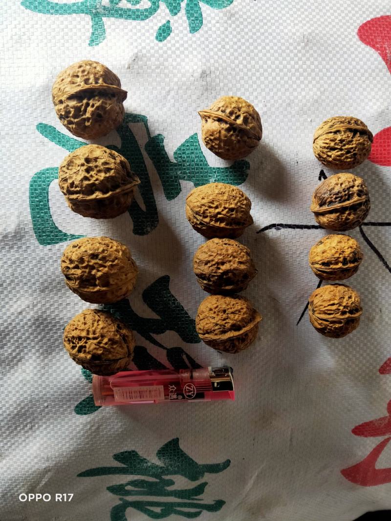 云南麻子纸皮核桃薄皮核桃中大果核桃地摊展会门店热销
