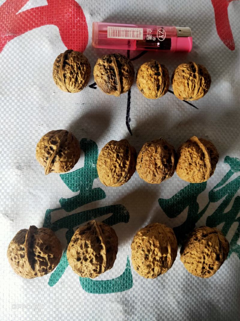 云南麻子纸皮核桃薄皮核桃中大果核桃地摊展会门店热销