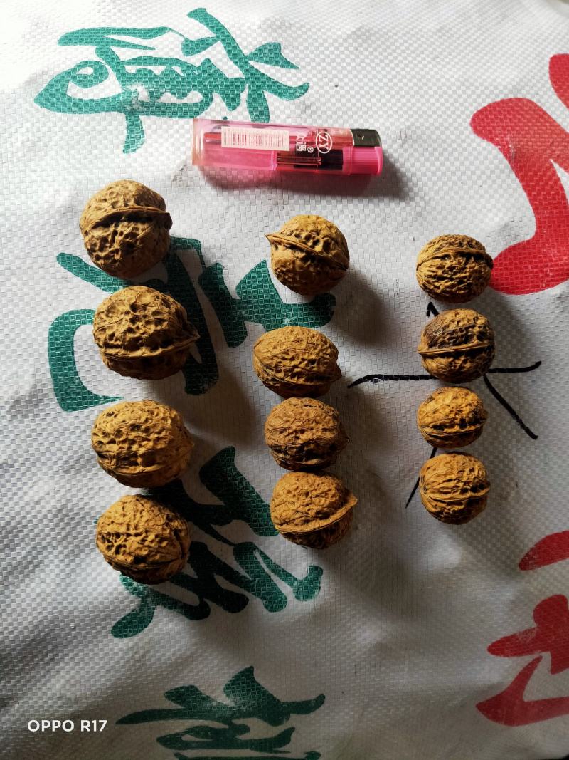 云南麻子纸皮核桃薄皮核桃中大果核桃地摊展会门店热销