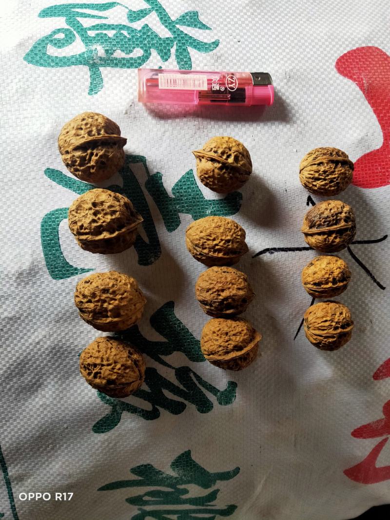 云南麻子纸皮核桃薄皮核桃中大果核桃地摊展会门店热销