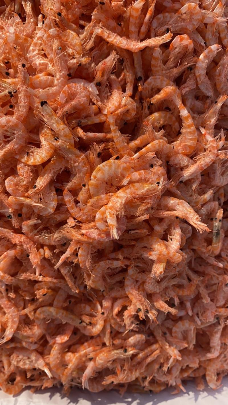 【优质】磷虾麟虾皮一首货源原产地批发