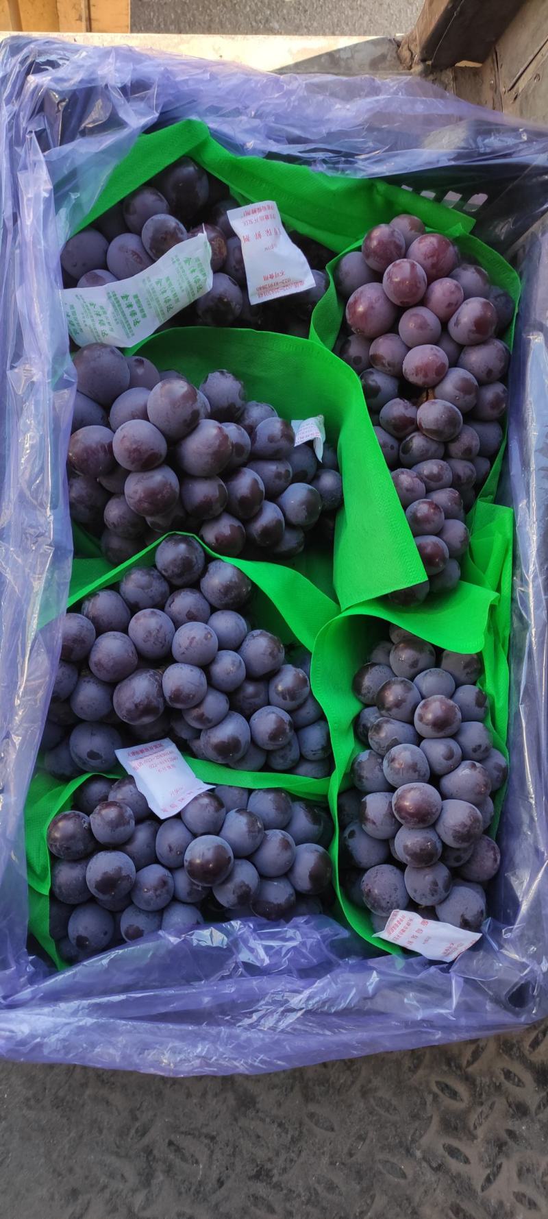 冷库巨峰葡萄大量有货各种质量各个价位都有