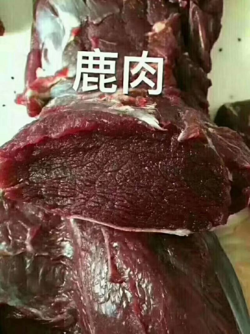《明轩鹿业》梅花鹿白条鹿新鲜鹿肉低脂精致鹿肉