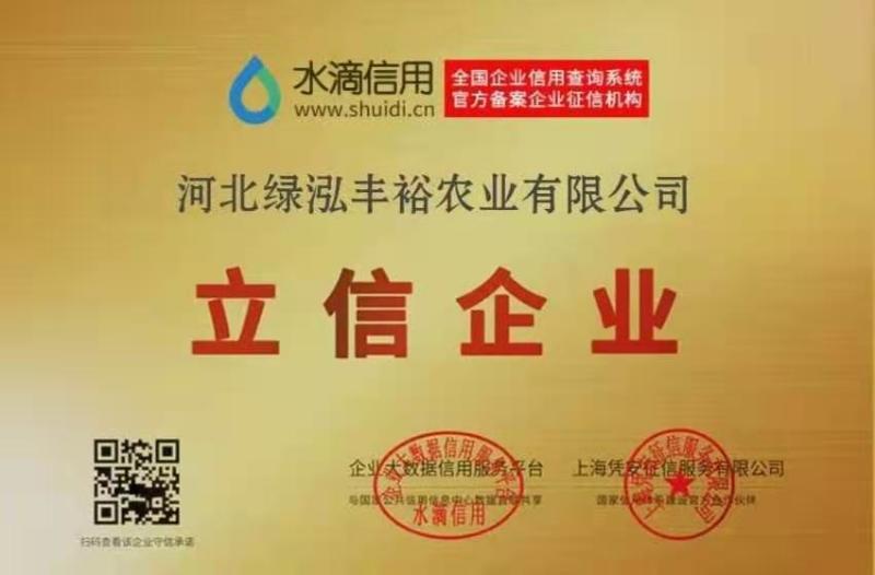 脱毒蜜薯25苗，地瓜苗，山芋苗，原种苗高端红薯苗……