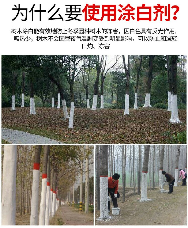 树干涂白剂绿化树果树涂白粉防虫抗寒杀菌20kg袋