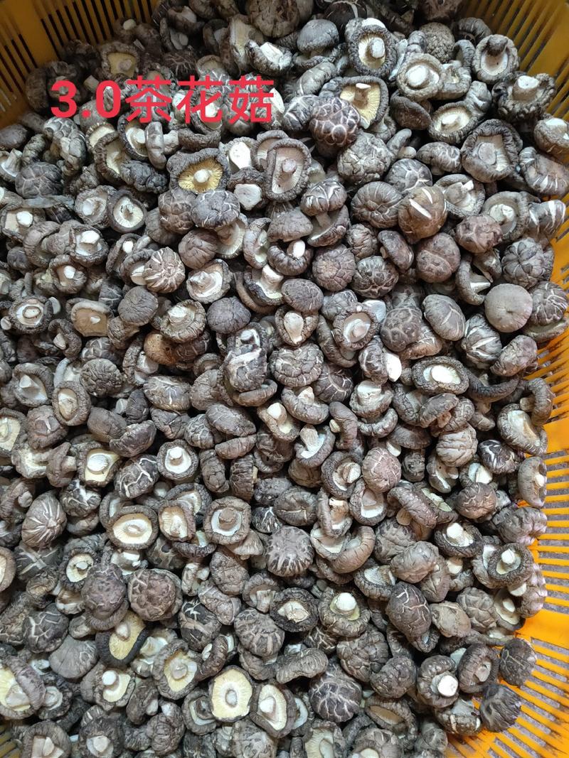 干香菇红花菇、茶花菇湖北产地直发，规格齐全品质保证
