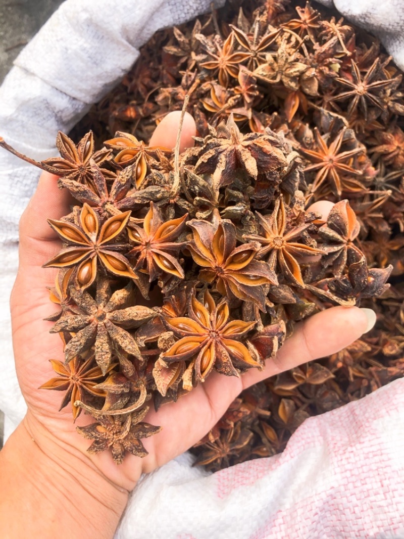 包邮广西八精选大料大红八角秋果干枝碎片足干批发产地